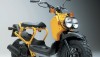Test Honda Zoomer – a cóż to za zwierz?