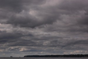 Torpedownia