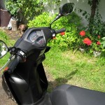 Kymco/wojtas_1987
