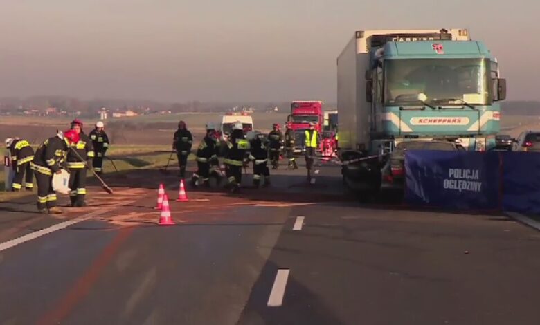 Jazda pod prąd na autostradzie to polska plaga. Kary? Symboliczne: Moim Śladem #11