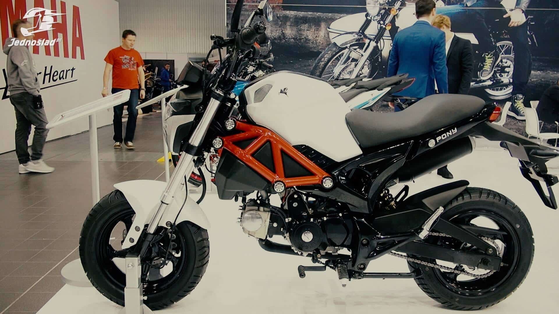 Targi Moto Expo Warszawa 2017: Godziny otwarcia, ceny biletów i lista wystawców
