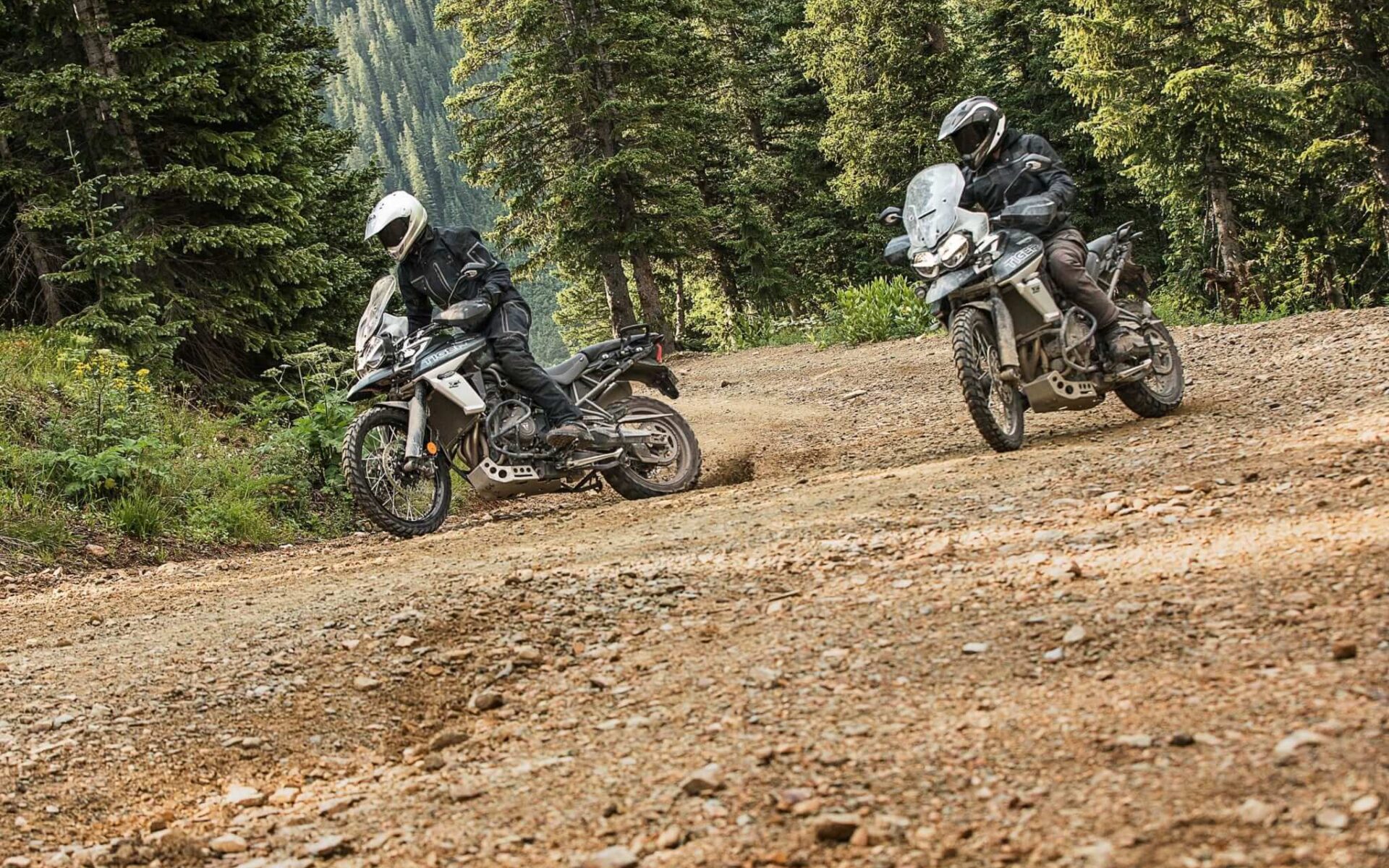Limitowana oferta w Triumph Polska: Wiosenny koszyk cennych korzyści przy zakupie motocykla Triumph Tiger 2019