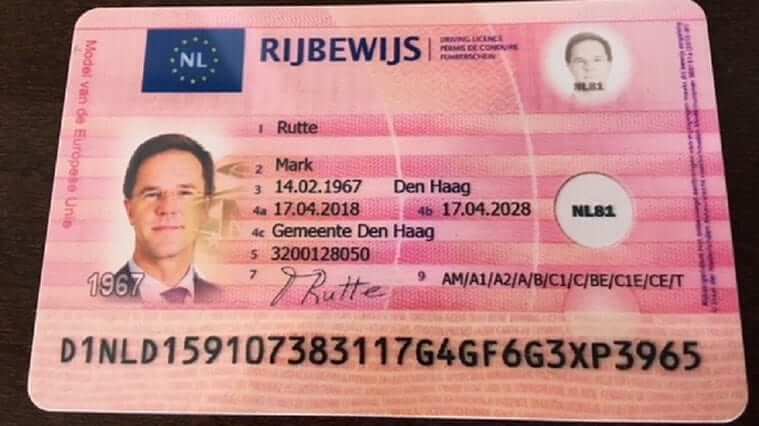 Kupili prawo jazdy w Polsce za 80 euro. Prowokacja holenderskich dziennikarzy