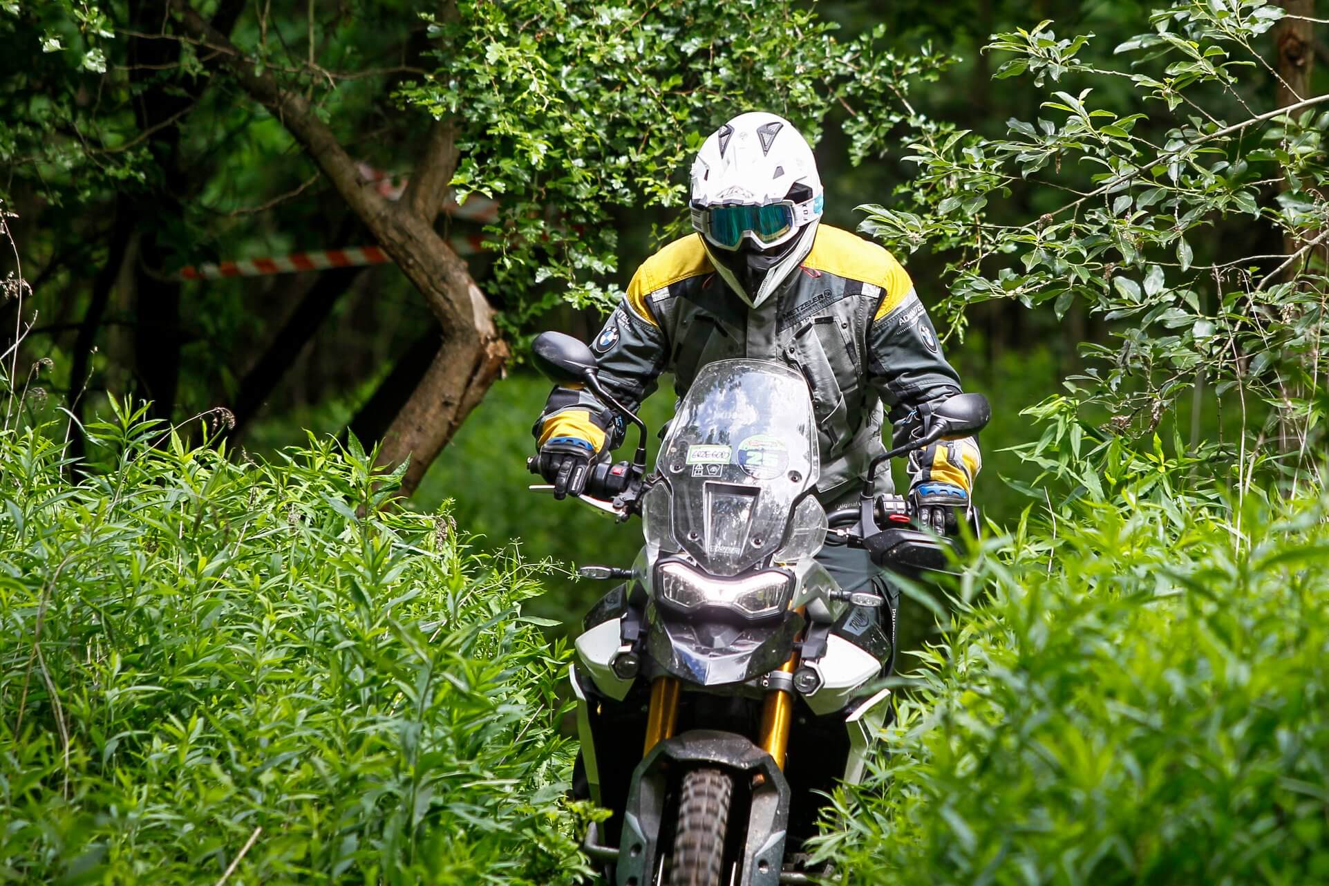 best triumph motorcycle 2020