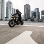 Triumph Speed Triple 1200 RS 2021