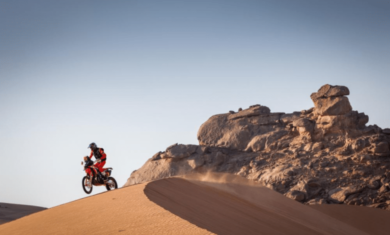 Joan Barreda Bort. Dakar 2021, etap IV
