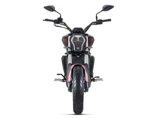 Benelli 502 C - obrazek 7