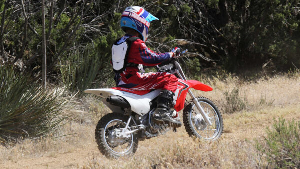 Honda CRF110F - obrazek 6