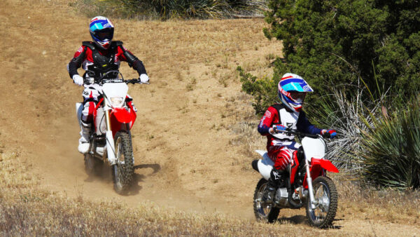Honda CRF110F - obrazek 2