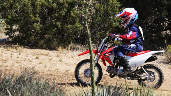 Honda CRF110F - obrazek 7