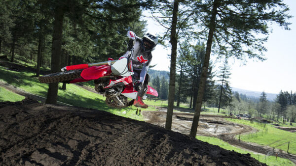 Honda CRF250R - obrazek 7