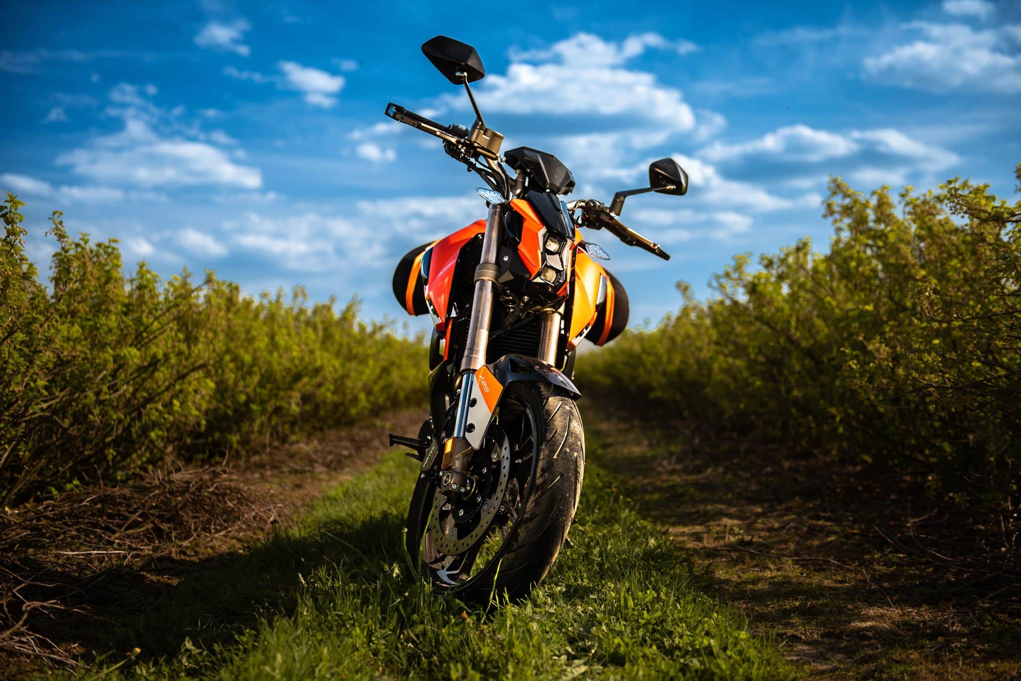 Czy powinniśmy kupować motocykle sercem? Brzmi to nie najlepiej, tymczasem…