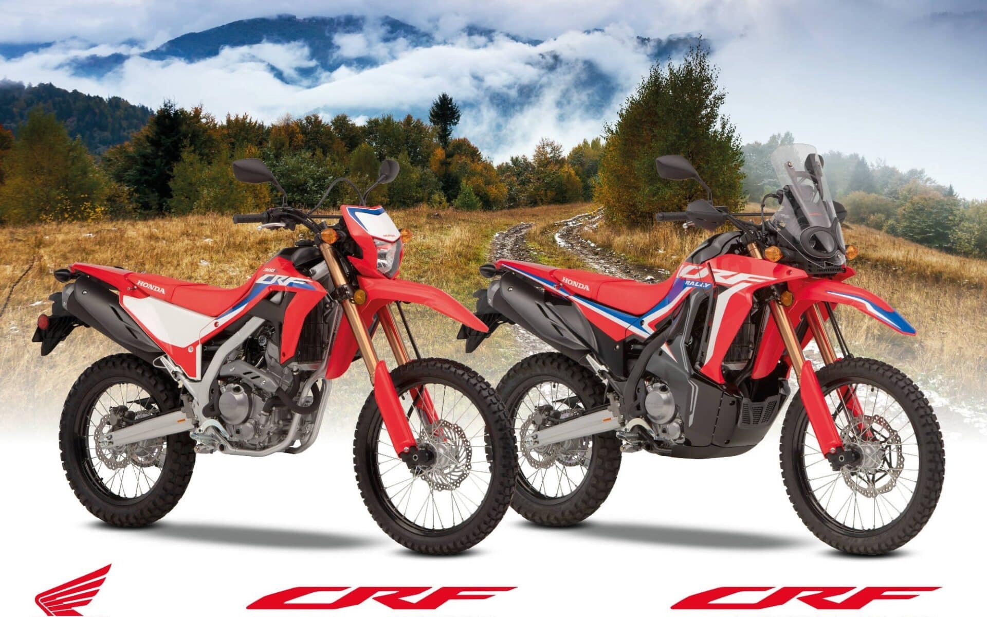 Honda CRF300L CRF300_RALLY_Honda_s_lightweight_dual-purpose_bikes