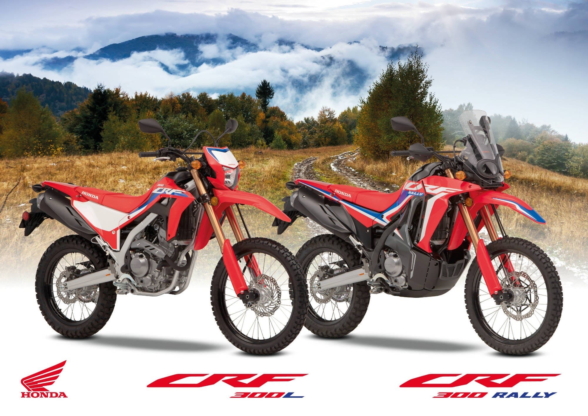 Honda CRF300L CRF300_RALLY_Honda_s_lightweight_dual-purpose_bikes
